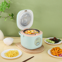 Olla Arrocera Eléctrica Automática Multifuncional de Suministro Profesional de Fábrica - Olla Arrocera Pequeña Portátil para el Hogar con Taza Medidora