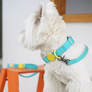 Diseño personalizado logotipo patrón impermeable PVC perro lleva lujo PVC silicona Material ajustable mascota perro Collar Correa - Product Image 6