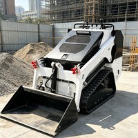 Mini-chargeuse compacte pour travaux agricoles et aménagement paysager, disponible en versions sur roues et sur chenilles pour différents types de terrains