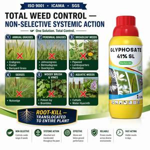 Glyphosate 41% SL Herbicide Systémique Non Sélectif <span class=keywords><strong>Désherbant</strong></span> Total Anti-Herbes Nocives Résistant à la Pluie 2H CAS 1071-83-6 pour l'Agriculture et les Vergers - Product Image 2