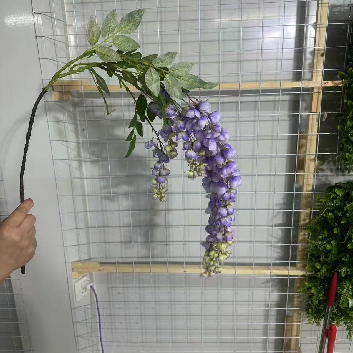Violet