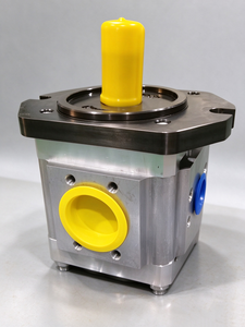 Bomba de aceite para máquina de moldeo por inyección Servo serie EIPC EIPC3-025RA23-10 EIPC3-040RA23-10 Bomba de engranajes hidráulica EIPC3 EIPC5 - Product Image 6