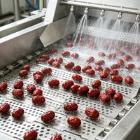 Nouveau séchoir à bande en maille d'acier inoxydable SUS304, vitesse réglable, équipement de séchage continu à air chaud pour fruits et légumes