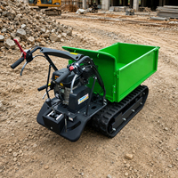 Kostenloser Versand ab Werk: Mini-Dumper 500kg mit Hoher Ausdauer und Stabilität