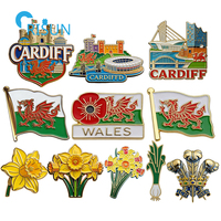 Aimant de réfrigérateur, Épinglette, Broche et Pin's émaillé personnalisés du Pays de Galles, avec motifs Plumes, Narcisse, Ciboulette, Coquelicot et Drapeau du Pays de Galles, pour souvenirs