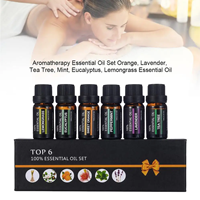 Set Minyak Esensial Alami dengan Lavender, Peppermint, Eucalyptus, dan Mutiara untuk Revitalisasi Kulit dan Aroma Diffuser