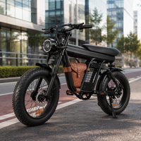 Vélo électrique ZM21-D, moteur 48V 500W 1200W, pneus larges de 20 pouces, batterie 13AH, cadre en aluminium, frein à disque, vélo de montagne pour adultes
