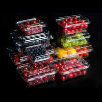 500g de qualité alimentaire personnalisé en plastique PET clair fruits boîte à clapet emballage fraise Punnet pour supermarché