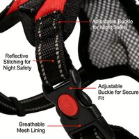 Harnais pour animaux de compagnie réglable sur mesure, prix d'usine, vente en gros, pour chiens et chats, respirant, grand, sans traction, solide, simple, en nylon, confortable à porter