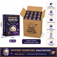 Calendrier de l'Avent Southpeak Toy Mystery Dumpling Édition Spatiale 25 Boîtes Mystères Jouets Squishy Fidget Orb Ball 18x12cm MOQ40 OEM WS