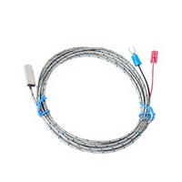 Sonde de température de type patch personnalisable du fabricant, sonde de surface PT100, résistance thermique, thermocouple étanche à coller