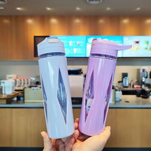 Portable Double Layer Plastic Water Cup 580ml With Straw For Students And Adults Back To School Use - Product Image 1