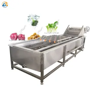 Offre Spéciale Vert Feuille Légumes Carotte Poivre Rondelle Poissons Crevettes Germes de soja De Pommes De Terre De Nettoyage Persil Céleri Salade Machine À Laver