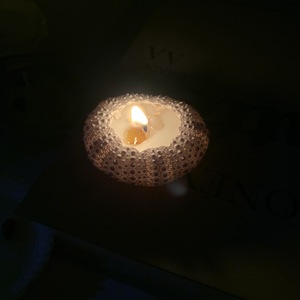 เทียนรูปเม่นทะเลธรรมชาติเปลือกหอยเครื่องประดับเทียนหอมระเหยกลิ่นเปลือกหอยสร้างบรรยากาศของขวัญวันเกิดที่สร้างสรรค์ในบ้าน - Product Image 3