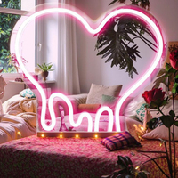 Hall de rêve en forme de coeur transfrontalier IP65 Paysage Plastique Alimentation Miroir LED Néon USB Personnalisable Lettres Lumineuses