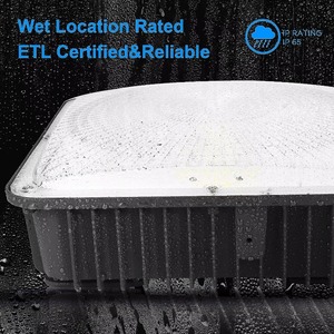 Proveedor de China Canopy Led Light 5 años de garantía Outdoor 60W 80W 100W Led Canopy Light - Product Image 4