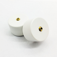 Condensateur à impulsion haute tension haute fréquence MZCT8G-DL20-30KV100PF