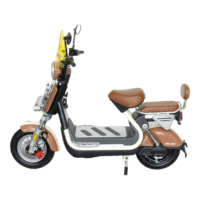 Moto électrique sportive 1500W 60V, vitesse maximale 50km/h, moteur moyeu arrière, cadre en acier au carbone, frein à disque, Guangdong