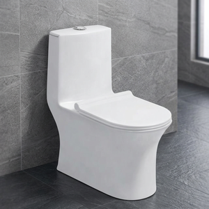 Inodoro de una pieza de cerámica clásico para el hogar, con sifón de drenaje P-Trap y asiento con descarga tipo Eddy, para baño. - Product Image 1