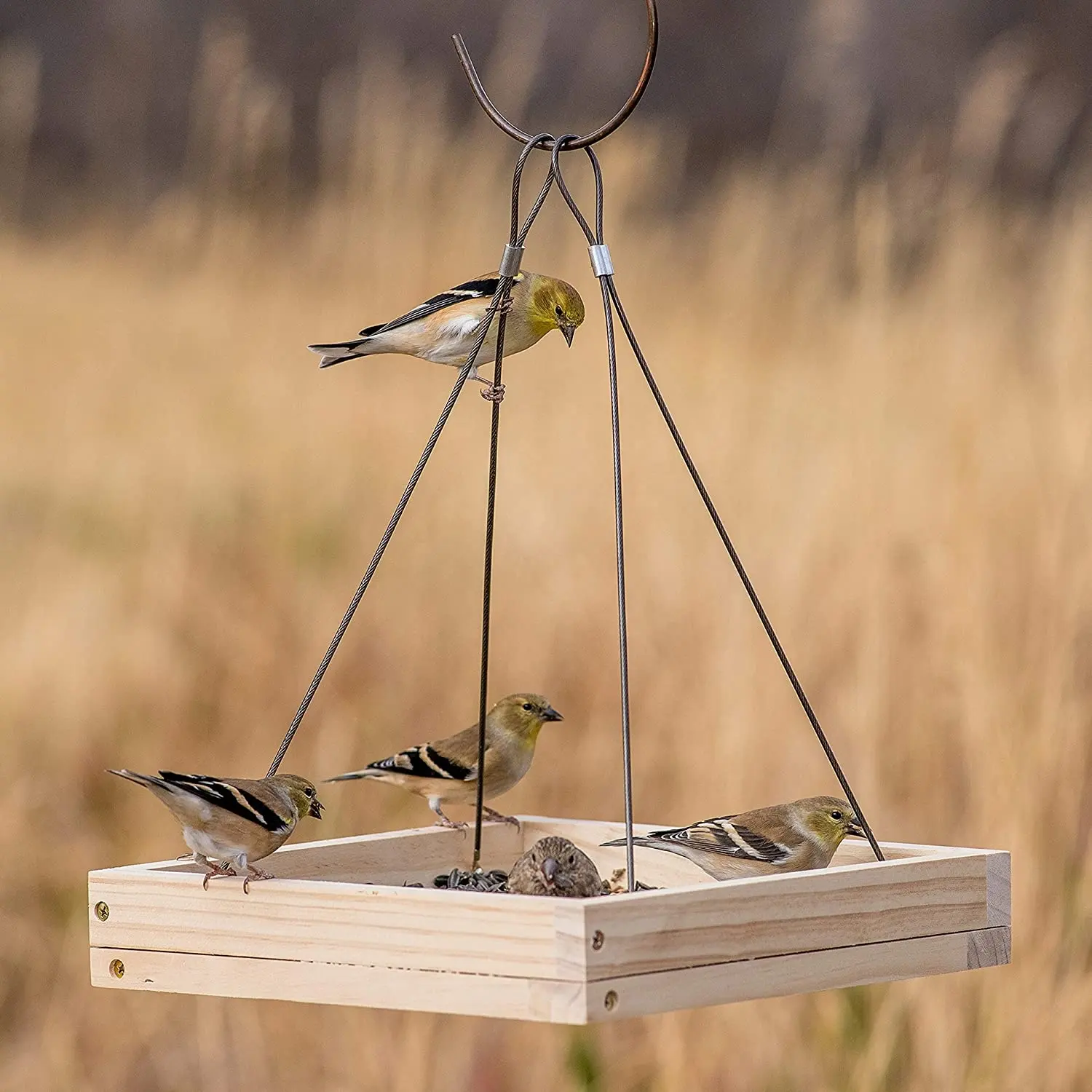 Mangiatoia per uccelli selvatici in legno