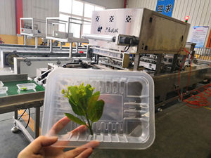 Machine d'emballage sous vide pour viande, machine d'emballage sous vide pour poisson, scelleuse automatique de barquettes pour aliments - Product Image 2