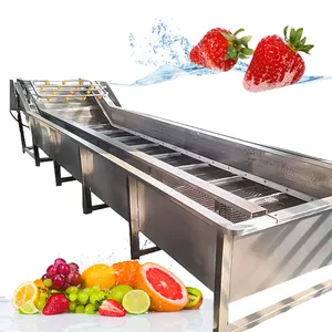 Ginger Industrial fruit and vegetable washing and drying machine for Turkey market