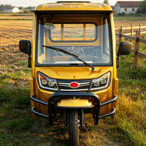 Nuovo Arrivo: Triciclo Elettrico a Bassa Velocità con Batteria, Omologazione EEC COC L2e per Trasporto Merci, Dotato di Batteria 72V 58AH, Modello UE - Product Image 3