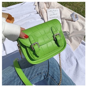 <span class=keywords><strong>France</strong></span> style small female chain <span class=keywords><strong>crocodile</strong></span> pattern women crossbody bags handbags shoulder bags - Product Image 2