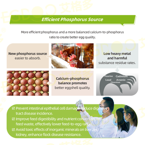 Aminoácidos de Grado Alimenticio para la Salud Intestinal: Monitoreo, Mejora de los Títulos, Reducción de la Variación, Desinfección de Premixes para Gallinas, Mitigación de la Concentración - Product Image 5