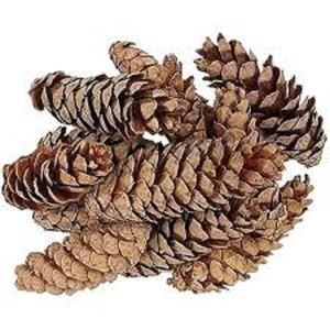 Phổ biến chất lượng cao thân thiện với môi thông nón cho DIY cưới Halloween Nhà Văn phòng trang trí nội thất & khô hoa sắp xếp - Product Image 1