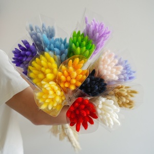 M85 fiori secchi colorati coniglietto <span class=keywords><strong>piante</strong></span> floreali coniglio erba Bouquet decorazione per la casa accessori foto naturale Lagurus Ovatus - Product Image 4