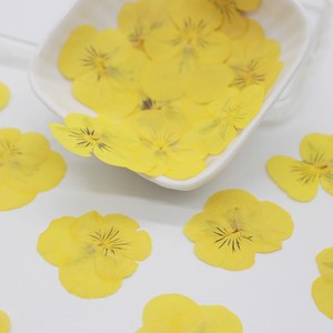 Matériaux pour boucles d'oreilles et bracelets <span class=keywords><strong>DIY</strong></span> en résine, <span class=keywords><strong>fleurs</strong></span> <span class=keywords><strong>séchées</strong></span> véritables, <span class=keywords><strong>fleurs</strong></span> pressées, accessoires sur le thème de la forêt éthérée - Product Image 6