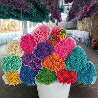 Flores Secas Naturales al por Mayor de Fábrica, Ramo de Gypsophila Preservada, para Bodas, Día de la Madre, Navidad, 400g