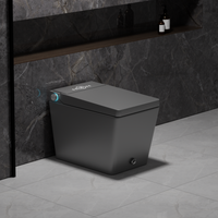 Ensemble de bidet de toilette en céramique intelligent haut de gamme WC carré avec télécommande S-Trap Drainage siège chauffage salle de bain articles sanitaires