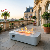 Brasero multifonctionnel avec conception de combustion sécurisée