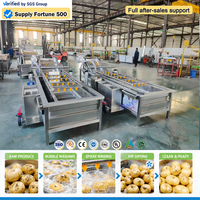 304/316 RVS Fruit- en groentewasmachine Ozonsterilisatie Hogedrukreiniging voor sinaasappels, maïs, noten, tarwe