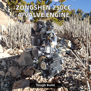 Zongshen 4 đột quỵ 250cc 4 van động cơ với CDI đánh lửa cho off-road xe máy mô hình zs172fmm cb250 Điều kiện Mới - Product Image 2