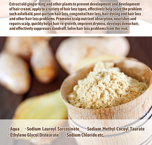 Oem ODM gừng chăm sóc tóc thiết lập giữ ẩm chống mất tóc dầu gội điều hòa thiết lập - Product Image 3