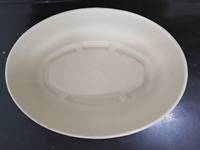 Vaisselle jetable biodégradable écologique en bagasse de canne à sucre, assiette à motif végétal, boîte à lunch jetable pour usage domestique