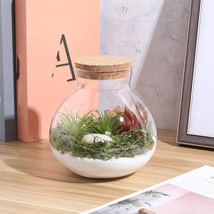 Terrario Rotondo in Vaso di Vetro per <span class=keywords><strong>Piante</strong></span> Grasse Muschio Vaso Portafiori Vasetto per Messaggi Bottiglia dei Desideri Barattolo per Caramelle con Coperchio in Sughero - Product Image 4