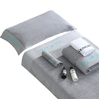 Ensemble de literie pour salon de beauté, housse de lit de spa grise, 4 pièces, draps de table de massage, linge de salon brodé, qualité professionnelle