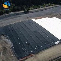 Geomembranas de HDPE para Revestimiento de Estanques de Peces y Uso en Acuicultura, Ecológicas, Duraderas, de Larga Vida Útil, para Exteriores