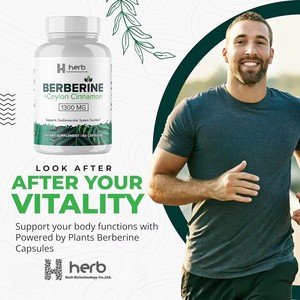 Cápsulas de Berberina de Marca Privada OEM/ODM - Suplemento Natural de Berberina de Alta Pureza para Adultos para el Control de la Energía, 60 Cápsulas - Product Image 2