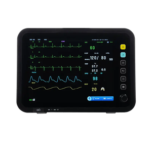 Moniteur patient 12 pouces avec EtCO2 et Abbott Edwards IBP - Product Image 1