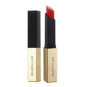 Lipstick supplier lipstick wholesale lipstick base a free sample matte