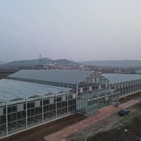 Commerciële grootschalige Venlo glazen kas voor hydroponische aardbeien- en sla-productie met verticale teelttechnologie
