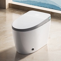 Offre Spéciale Hôtel Sanitaire Une Pièce Placard D'eau Électrique Bidet Cuvette De Toilette Au Sol Intelligent Télécommande Intelligente