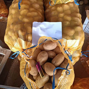 Pommes <span class=keywords><strong>de</strong></span> <span class=keywords><strong>terre</strong></span> fraîches Yukon Gold <span class=keywords><strong>Russet</strong></span> certifiées Global GAP HACCP, emballage <span class=keywords><strong>de</strong></span> 5 kg, 10 kg, 15 kg, carton pour supermarché, export - Product Image 6