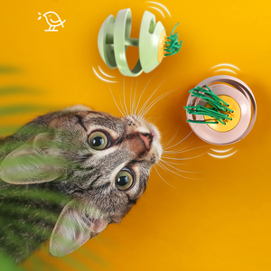 Juguete Eléctrico Interactivo para Gatos con Sonido de Pájaro, Diseño de Bola de Cuerda Trenzada, Divertido y Seguro, Venta Caliente Transfronteriza, Venta al por Mayor - Product Image 2