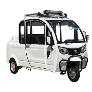 Passenger and Cargo Multi Function 3 Wheel Cars Electric Motorcycle Closed Pickup Electric